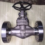 Stainless Steel Globe Valve