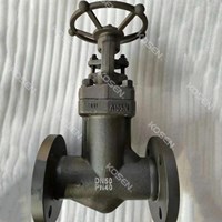 Forged Bellow Sealed Globe Valve