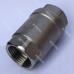 Investment Casting Check Valve