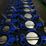 Wafer Concentric Butterfly Valve