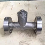 Pressure Seal Swing Check Valve