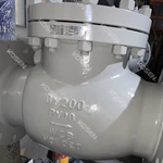 DIN Lift Check Valve