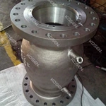 Axial Flow Check Valve