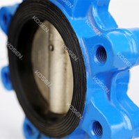 Lug Concentric Butterfly Valve