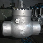 Power Station Check Valve