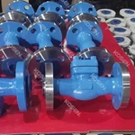 Flanged End Check Valve