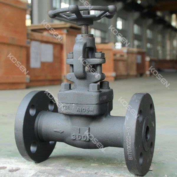 Forged Steel Globe Valve