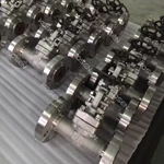 Flanged End Globe Valve