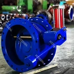Butterfly Type Check Valve