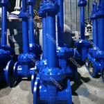 Bellow Sealed Gate Valve