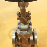 Cast Bronze Gate Valve