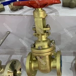Cast Bronze Gate Valve