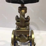 Cast Bronze Globe Valve
