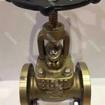 Cast Bronze Globe Valve