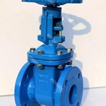 Cast Iron Gate Valve