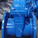 Cast Iron Gate Valve
