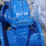 Cast Iron Gate Valve