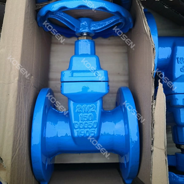 Cast Iron Gate Valve