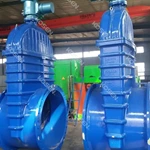 Cast Iron Gate Valve
