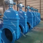 Cast Iron Gate Valve