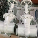 Cast steel Gate Valve