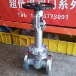 Cryogenic Gate Valve