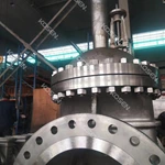 Cryogenic Gate Valve