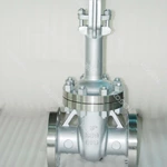 Cryogenic Gate Valve