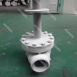 Cryogenic Globe Valve