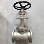 Cryogenic Globe Valve