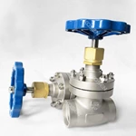 Cryogenic Globe Valve