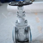 DIN F4 Rising Stem Gate Valve
