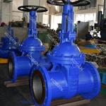 DIN F5 Rising Stem Gate Valve