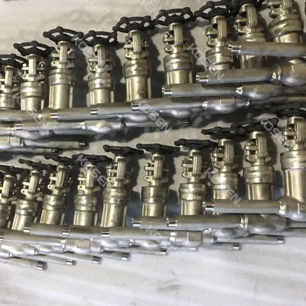 Extended Body Gate Valve