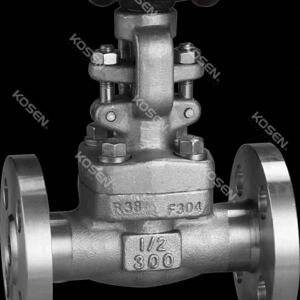 Flanged End Gate Valve