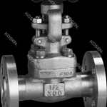 Flanged End Gate Valve