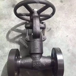 Flanged End Pressure Seal Gate Valve