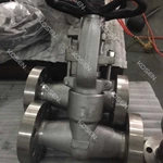 Flanged End Pressure Seal Gate Valve