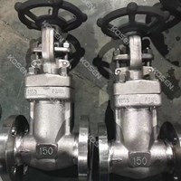 Forged Bellow Sealed Gate Valve