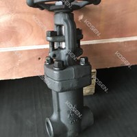 Forged Bellow Sealed Gate Valve