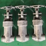 Forged Bellow Sealed Gate Valve