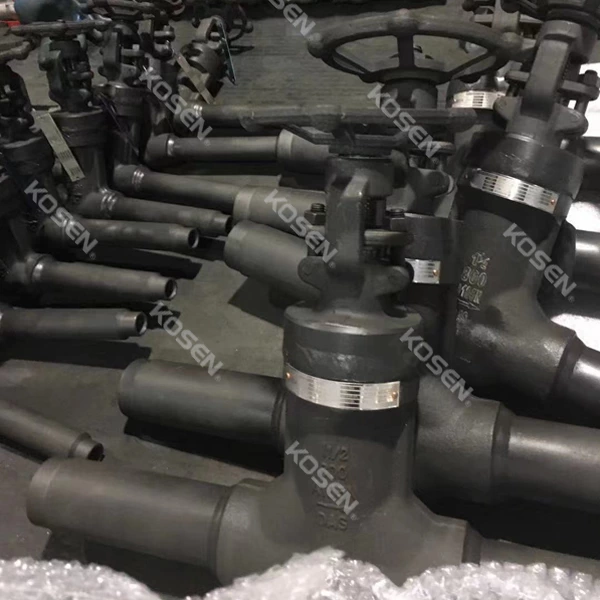 Forged Bellow Sealed Gate Valve