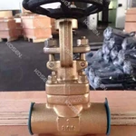 Forged Bronze Gate Valve