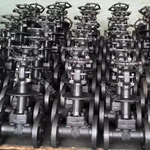 Forged Cryogenic Gate Valve