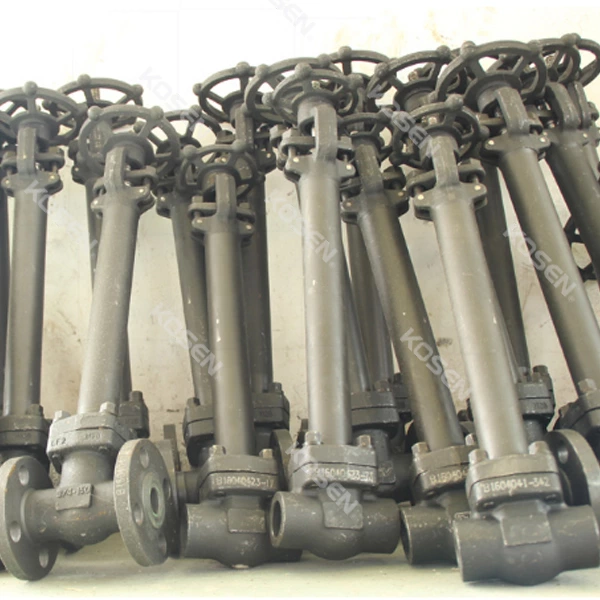 Forged Cryogenic Gate Valve