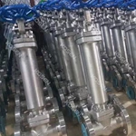 Forged Cryogenic Gate Valve