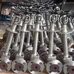 Forged Cryogenic Gate Valve