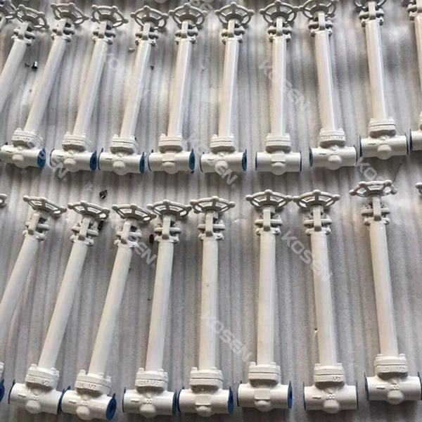 Forged Cryogenic Gate Valve