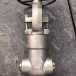 Forged Pressure Seal Gate Valve