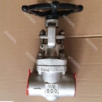 Forged Stainless Steel Gate Valve